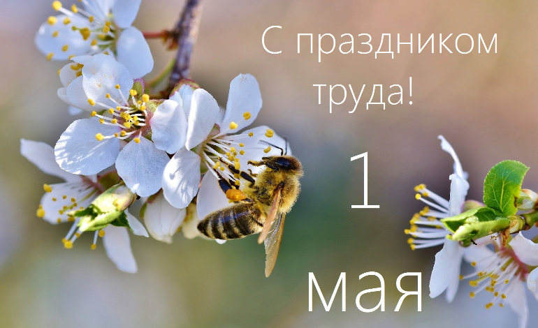 C праздником труда!