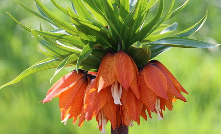 Кыргызский авиационный институт им. И. Абдраимова оказал финансовую помощь пострадавшим в событиях в Баткенской области