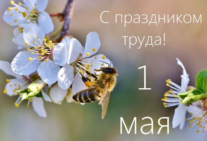 C праздником труда!
