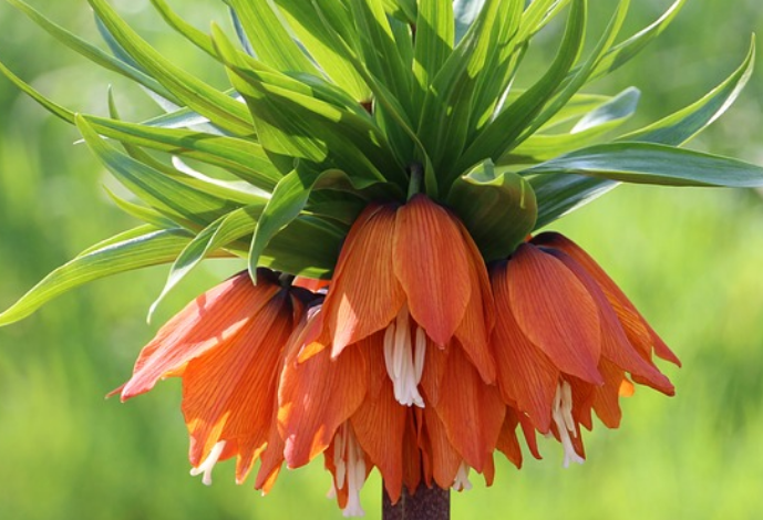 Кыргызский авиационный институт им. И. Абдраимова оказал финансовую по...