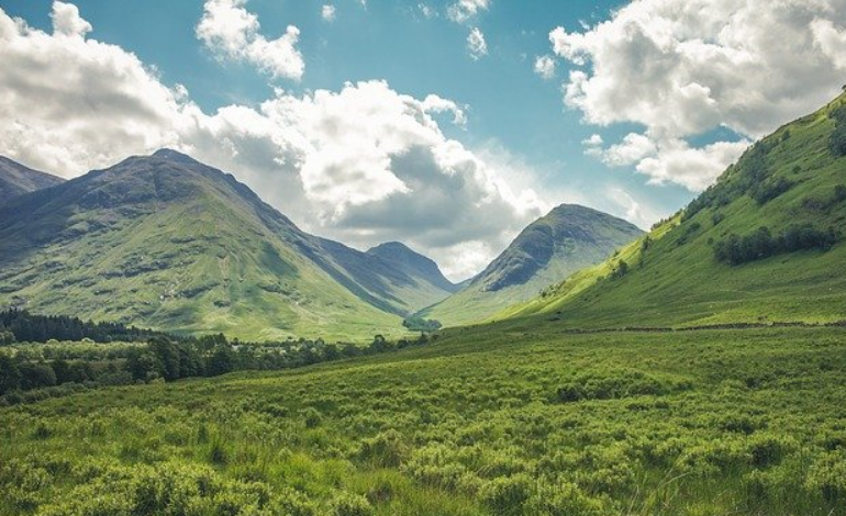 Гражданская поддержка: зеленый Кыргызстан