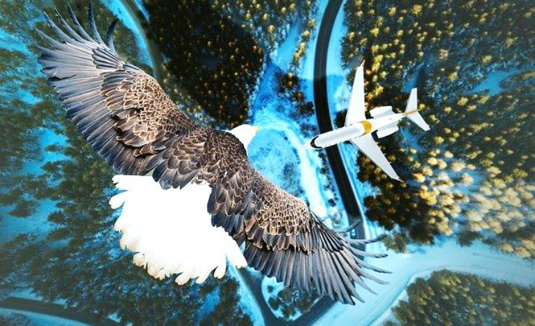 По 6 ноября Министерство образования и науки принимает заявки на выполнение научно-исследовательских и опытно-конструкторских работ