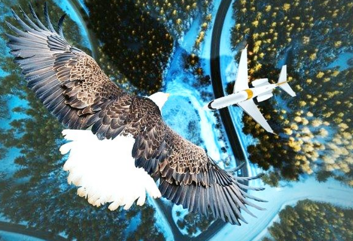 По 6 ноября Министерство образования и науки принимает заявки на выпол...