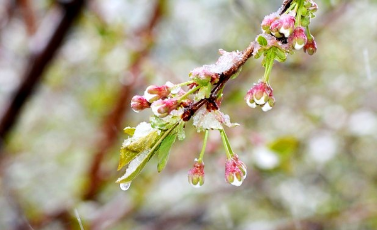 Не навреди!