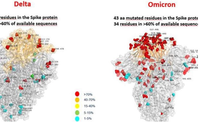 Что известно в данный момент об Omicron-штамме вируса SARS-CoV-2?
