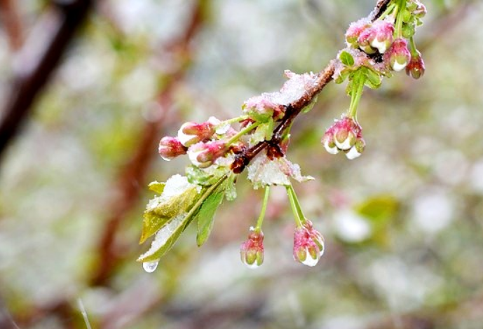 Не навреди!
